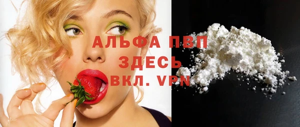 ПСИЛОЦИБИНОВЫЕ ГРИБЫ Абаза