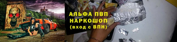 сатива Абинск
