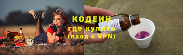 ПСИЛОЦИБИНОВЫЕ ГРИБЫ Абаза