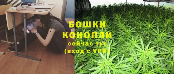 сатива Абинск
