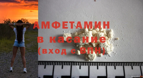 гашик Алексин