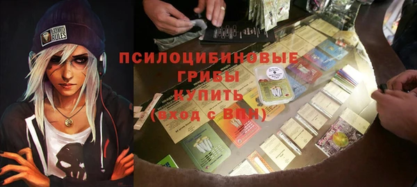 сатива Абинск