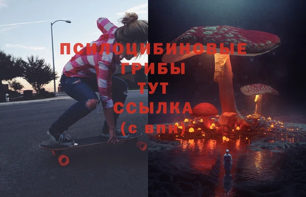 сатива Абинск