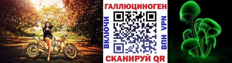 наркошоп  Кызыл  Галлюциногенные грибы Psilocybe 