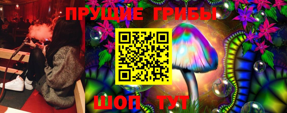 где купить наркотик  Псилоцибиновые грибы MAGIC MUSHROOMS  Вход с VPN  Кызыл 